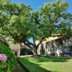 “Il Giardino Segreto”: aperitivo, visita botanica e performance musicale, il 1° ottobre 2022 alla Reggia di Portici