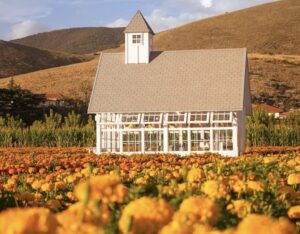 Torna il giardino delle zucche pumpkin patch più grande d’Europa, dal 26 settembre 2026 a Pignataro Maggiore Torna il giardino delle zucche pumpkin patch più grande d’Europa, dal 26 settembre 2026 a Pignataro Maggiore